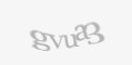 Güvenlik kodu