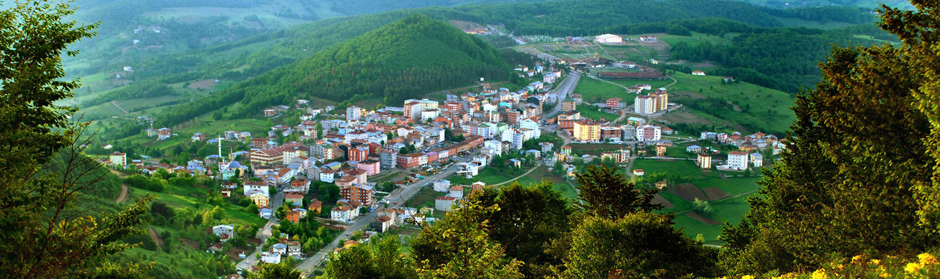 Anasayfa